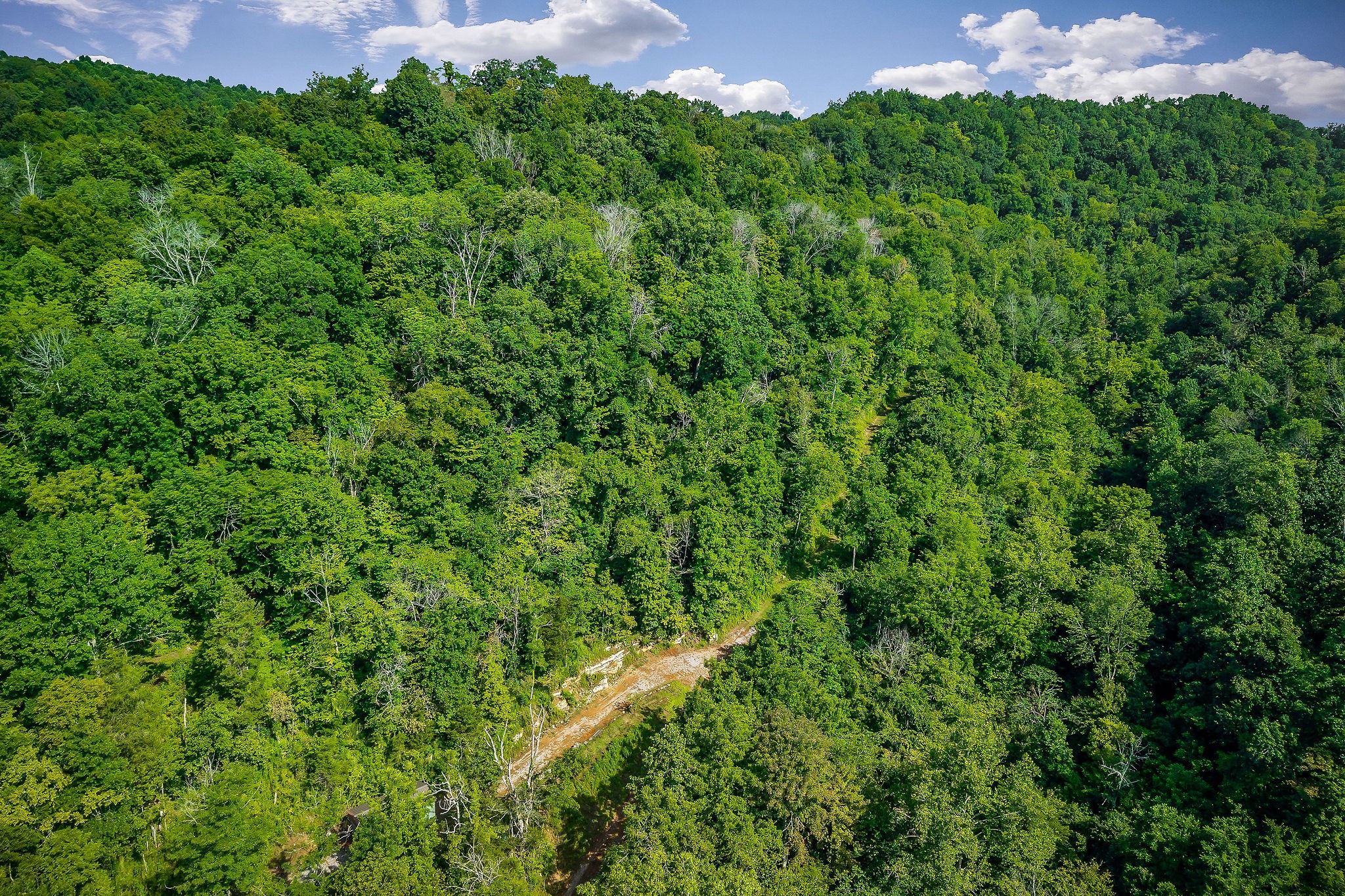 392 Possum Hollow Road Dowelltown, TN 37059 - Photo 5 of 37 Gallery Image 5