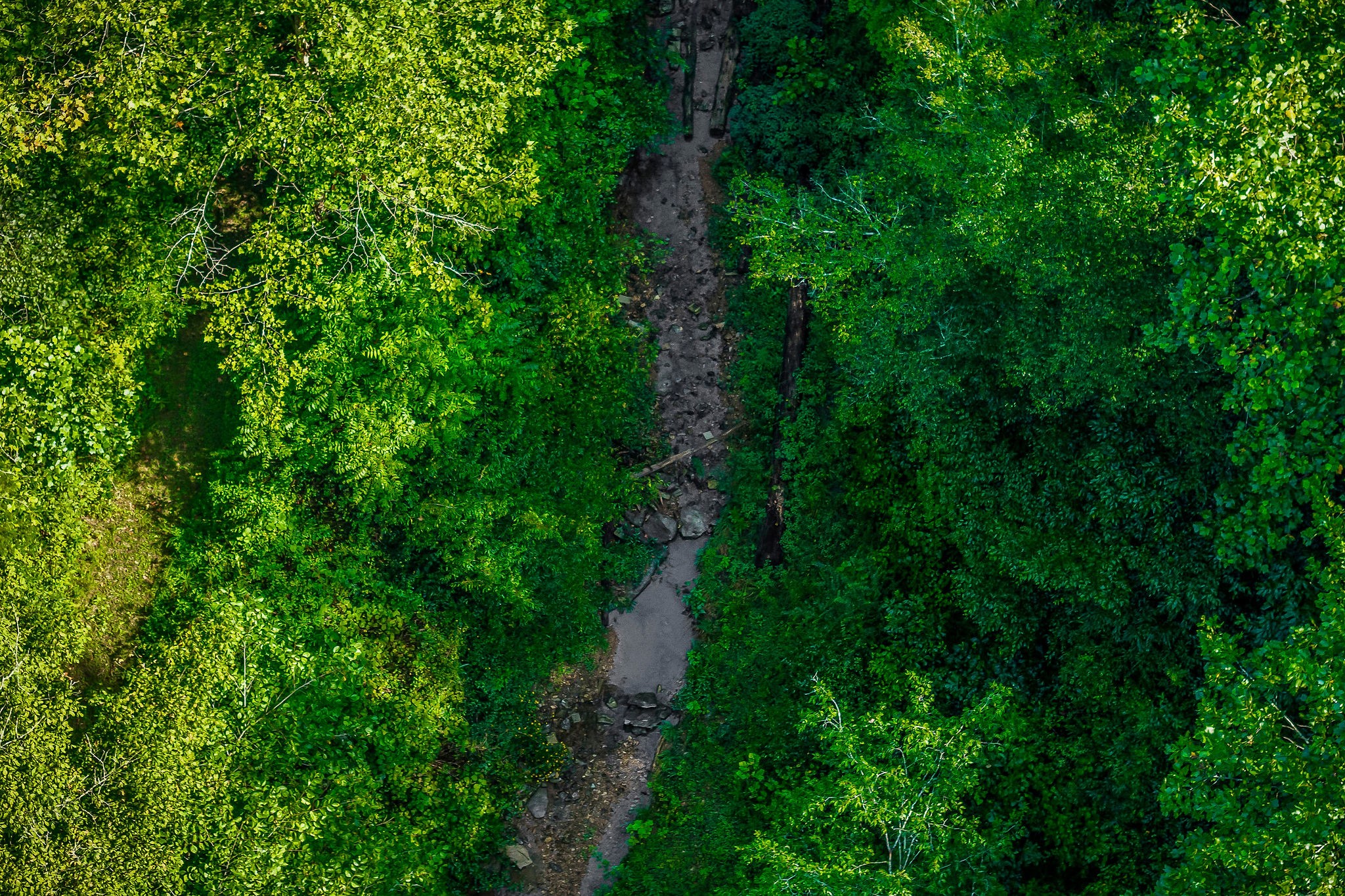 392 Possum Hollow Road Dowelltown, TN 37059 - Photo 7 of 37 Gallery Image 7
