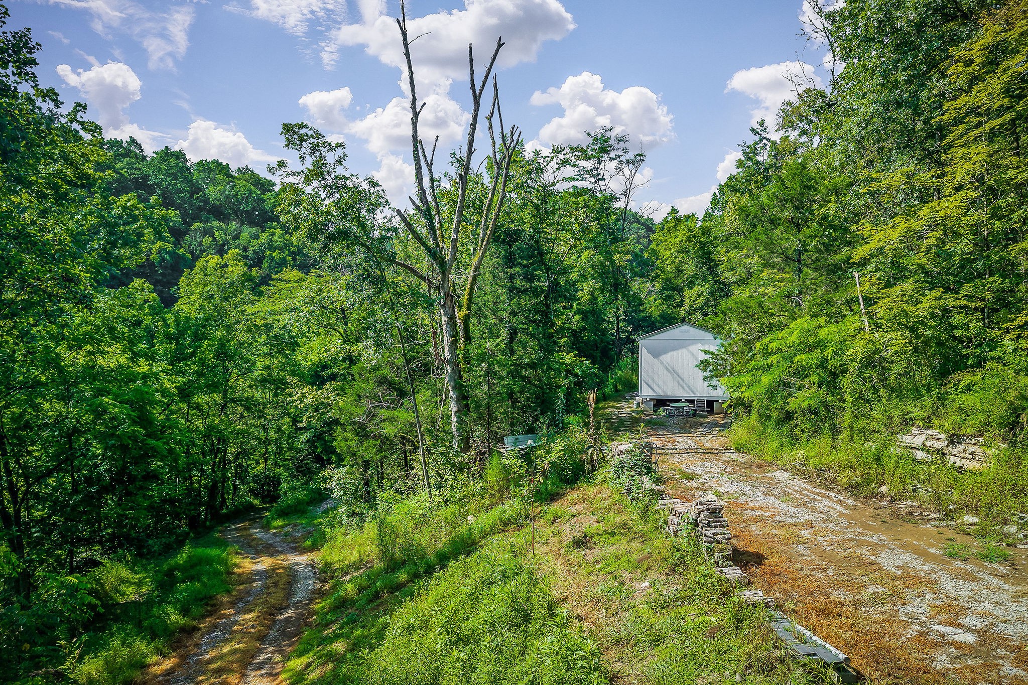 392 Possum Hollow Road Dowelltown, TN 37059 - Photo 9 of 37 Gallery Image 9