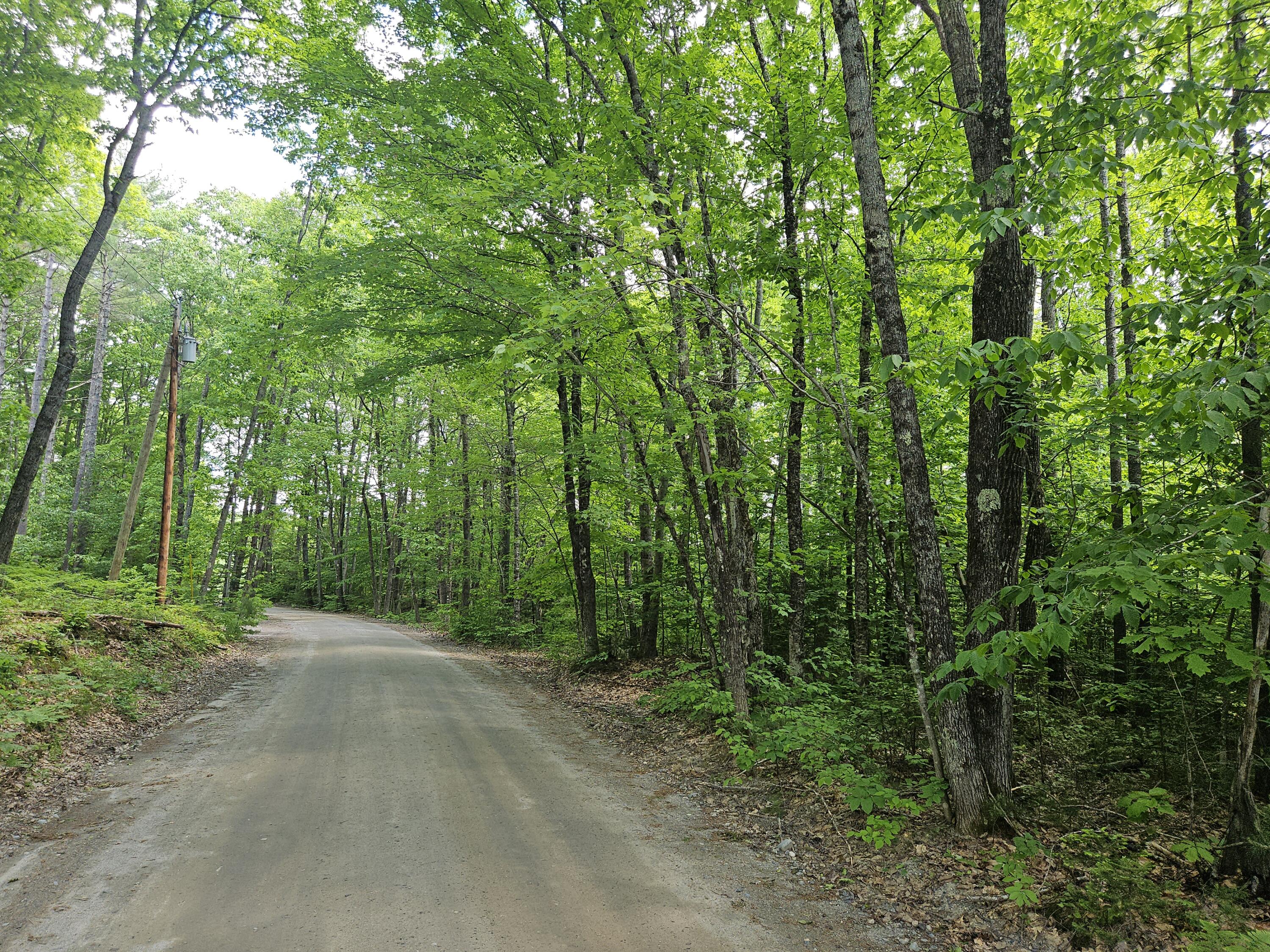 U08-003 Dutch Gap Road Chesterville, ME 04938 - Photo 15 of 21 20240531_123445
