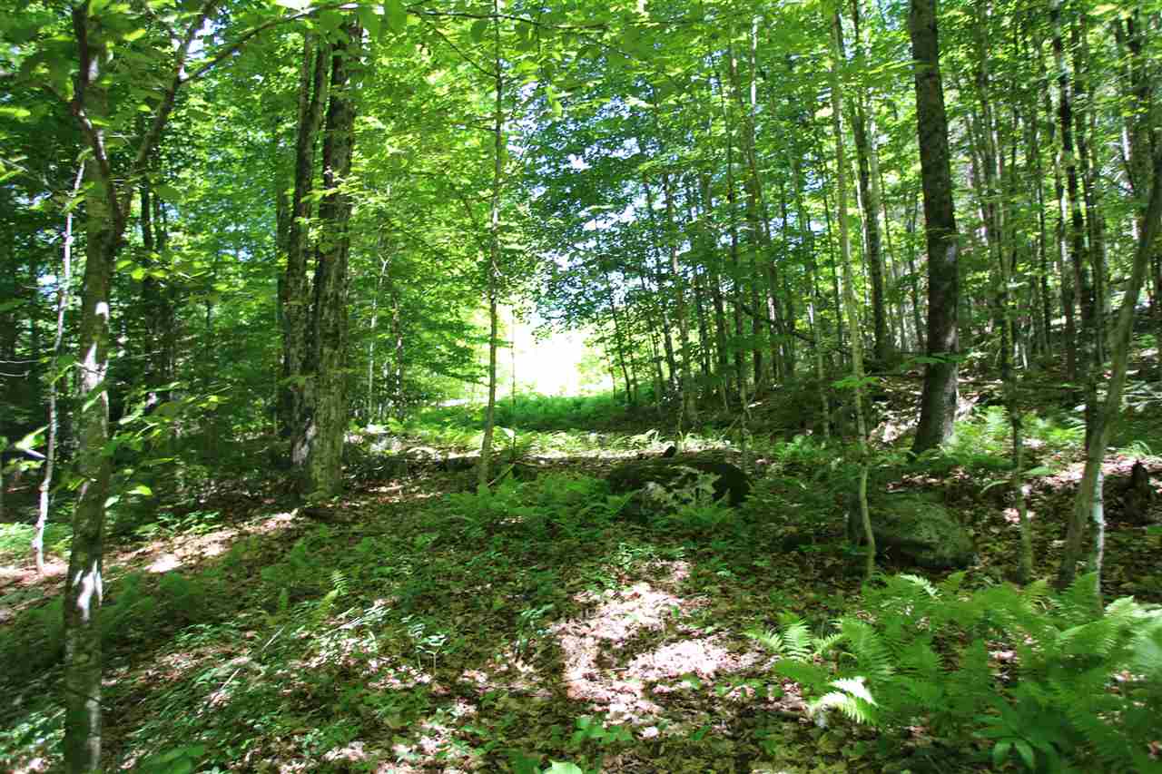 8450 Granby Road Granby, VT 05840 - Photo 8 of 18