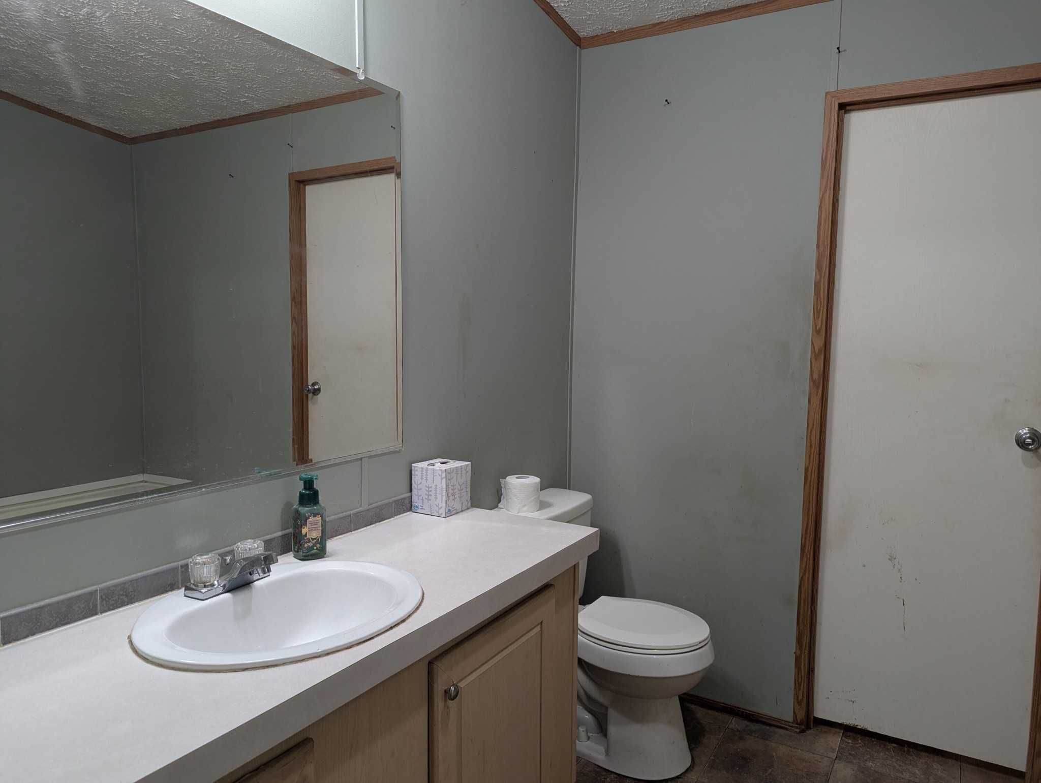 313 Burton Road Sweetwater, TN 37874 - Photo 17 of 38 a bathroom with a sink and a toilet