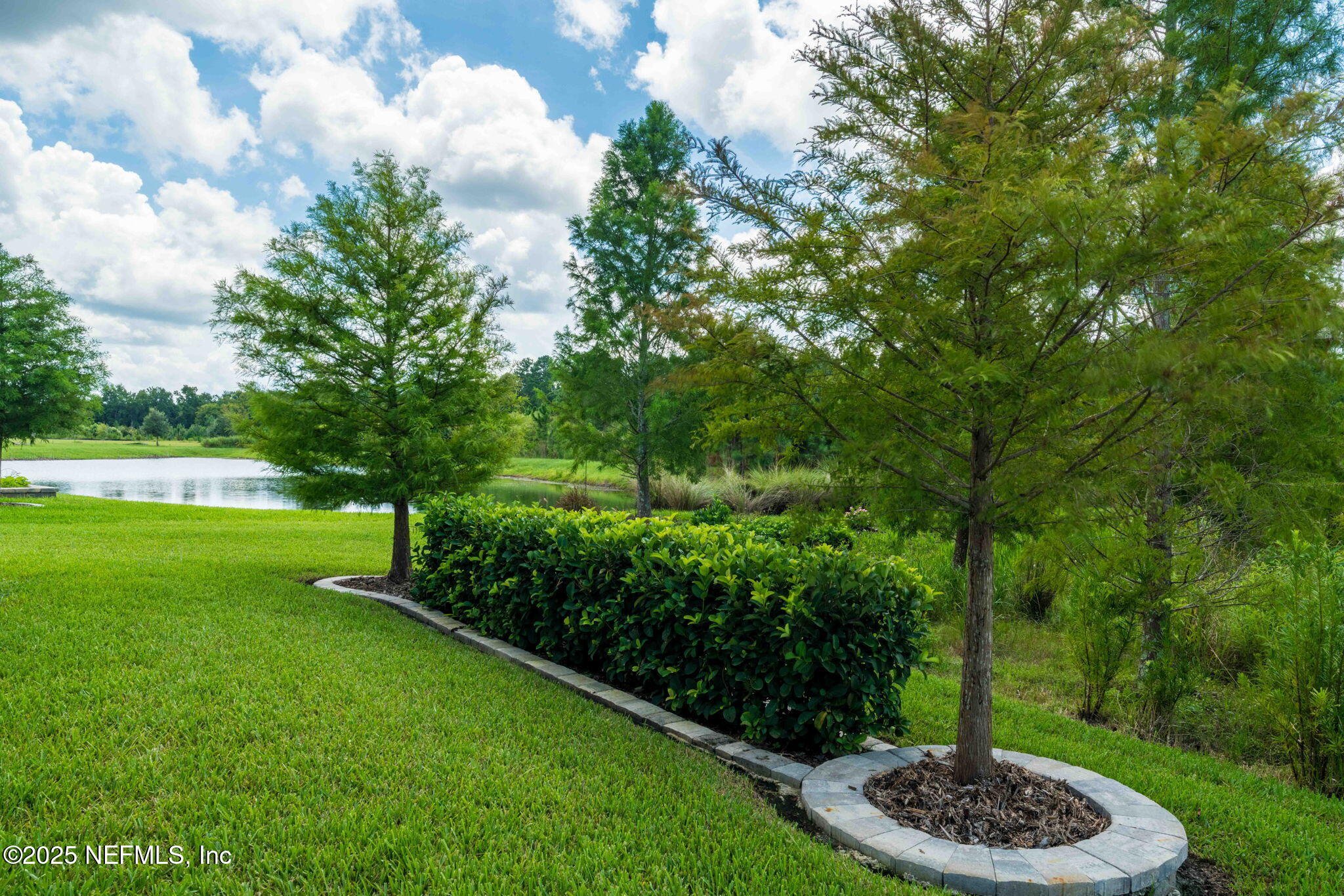 217 Fairlake Cir Street St. Augustine, FL 32092 - Photo 40 of 47 a view of a garden with a tree