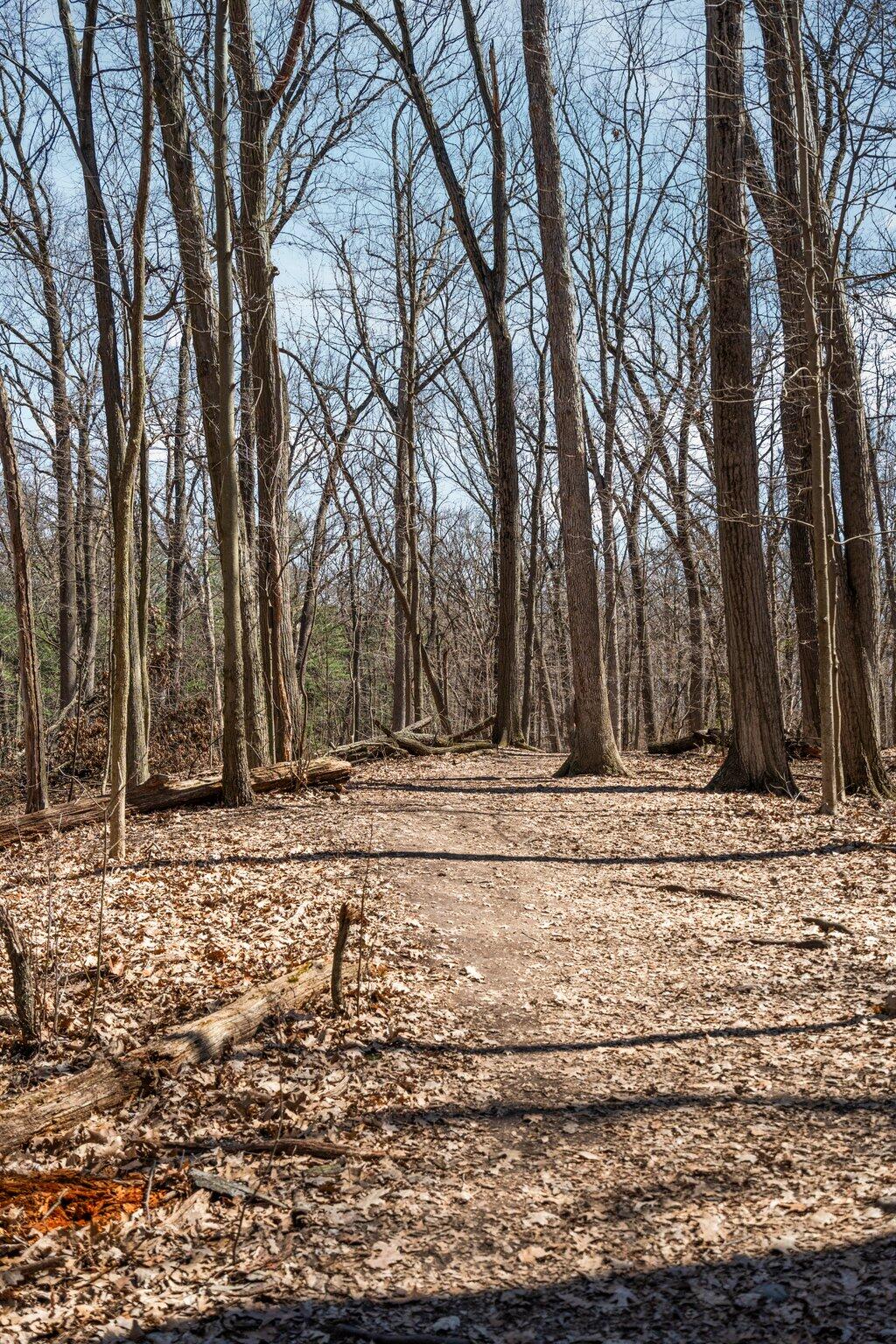 1710 Newport Road Ann Arbor, MI 48103 - Photo 45 of 50 Bird Hills