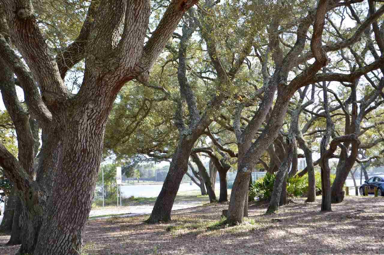 406 Gibbs Road Pensacola, FL 32507 - Photo 39 of 39 Gallery Image 39