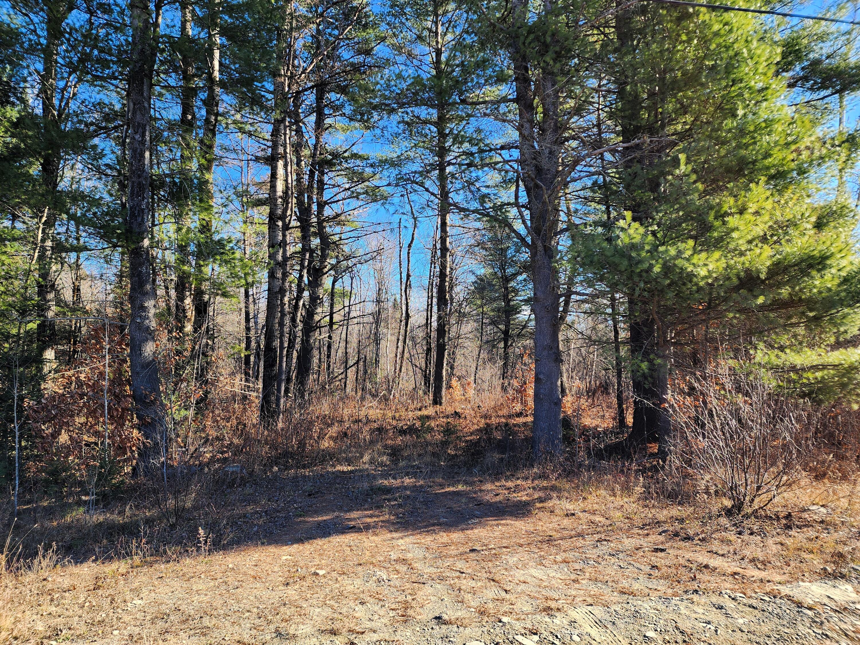 0 Steam Mill Road Cornville, ME 04976 - Photo 6 of 15 6