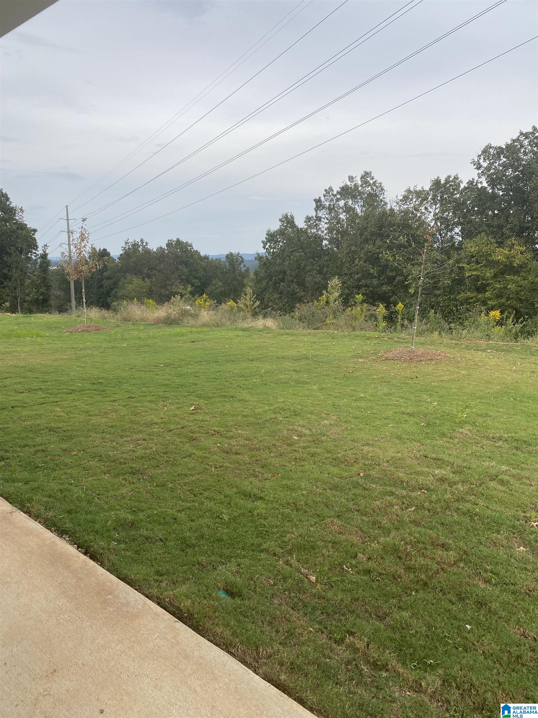 1193 Camellia Ridge Drive Pelham, AL 35124 - Photo 27 of 33