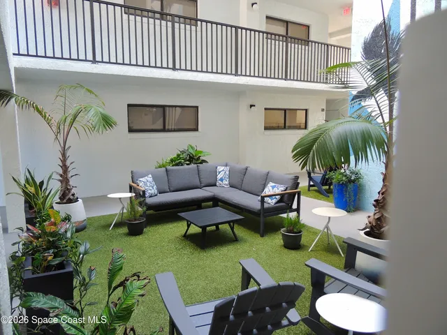 a living room with furniture a rug and a potted plant