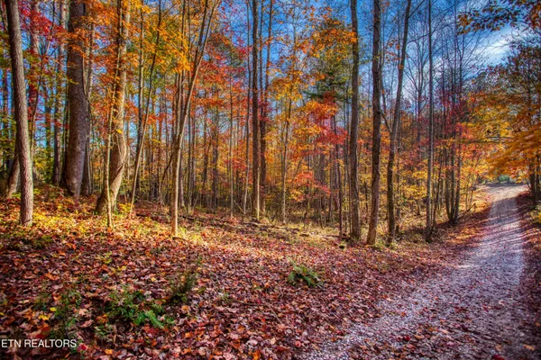 $180,000 | 1192 Shellotte Loop, Pall Mall, TN 38577