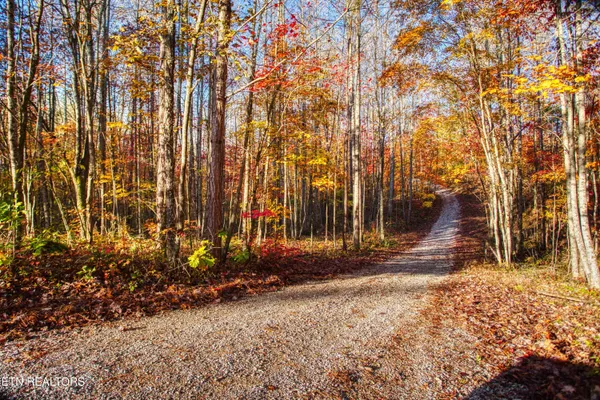 $180,000 | 1192 Shellotte Loop, Pall Mall, TN 38577