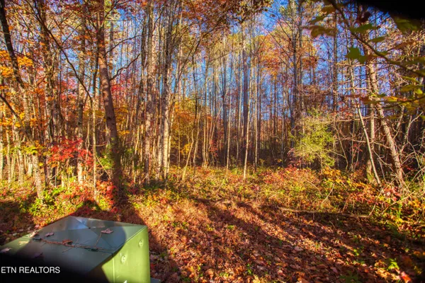 $180,000 | 1192 Shellotte Loop, Pall Mall, TN 38577