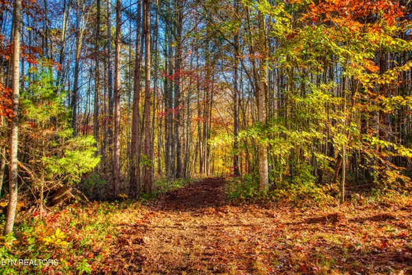 $180,000 | 1192 Shellotte Loop, Pall Mall, TN 38577