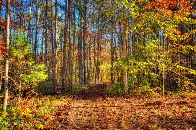 $180,000 | 1192 Shellotte Loop, Pall Mall, TN 38577