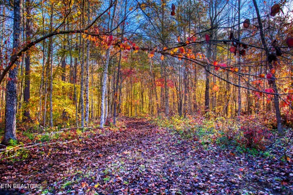 $180,000 | 1192 Shellotte Loop, Pall Mall, TN 38577