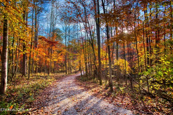 $180,000 | 1192 Shellotte Loop, Pall Mall, TN 38577