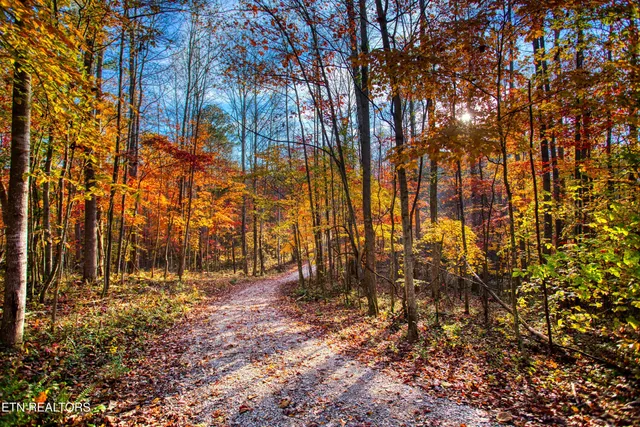 $180,000 | 1192 Shellotte Loop, Pall Mall, TN 38577