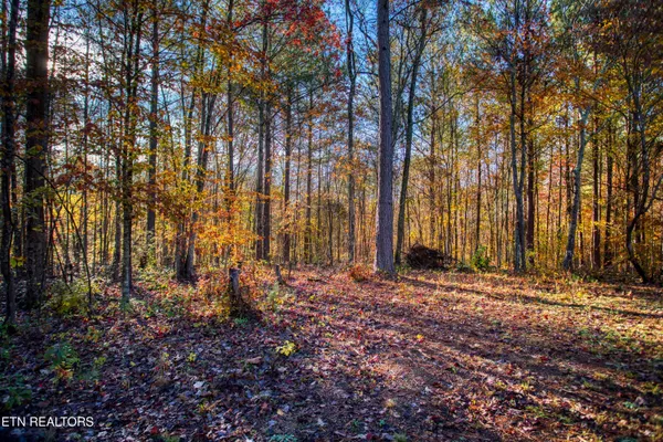 $180,000 | 1192 Shellotte Loop, Pall Mall, TN 38577