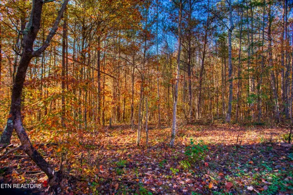 $180,000 | 1192 Shellotte Loop, Pall Mall, TN 38577