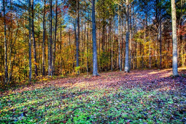 $180,000 | 1192 Shellotte Loop, Pall Mall, TN 38577