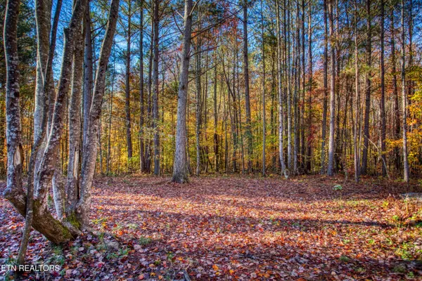 $180,000 | 1192 Shellotte Loop, Pall Mall, TN 38577