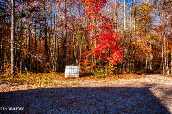 $180,000 | 1192 Shellotte Loop, Pall Mall, TN 38577