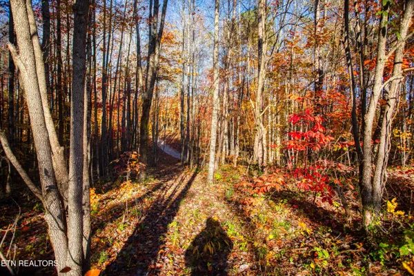 $180,000 | 1192 Shellotte Loop, Pall Mall, TN 38577