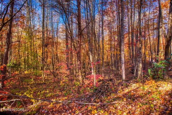 $180,000 | 1192 Shellotte Loop, Pall Mall, TN 38577