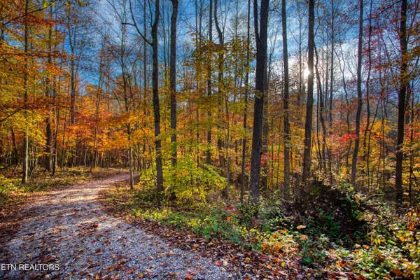 $180,000 | 1192 Shellotte Loop, Pall Mall, TN 38577