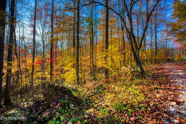 $180,000 | 1192 Shellotte Loop, Pall Mall, TN 38577