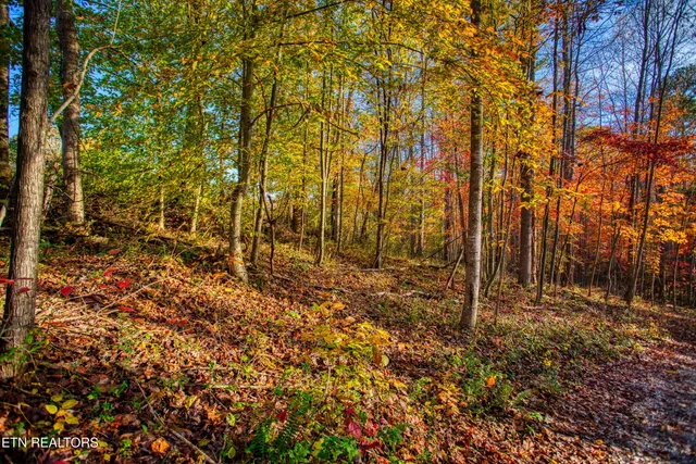 $180,000 | 1192 Shellotte Loop, Pall Mall, TN 38577