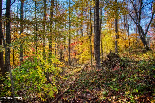 $180,000 | 1192 Shellotte Loop, Pall Mall, TN 38577