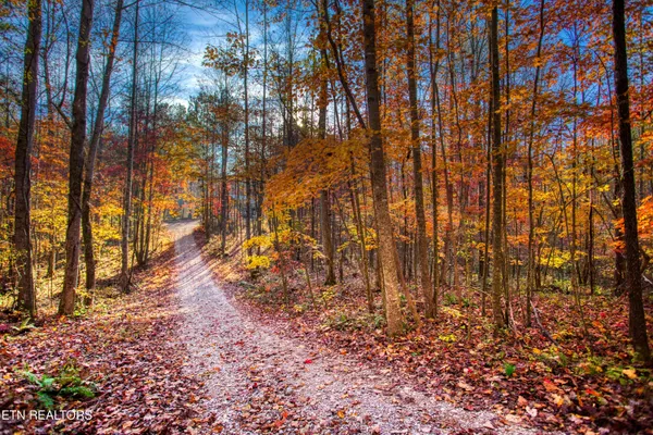 $180,000 | 1192 Shellotte Loop, Pall Mall, TN 38577