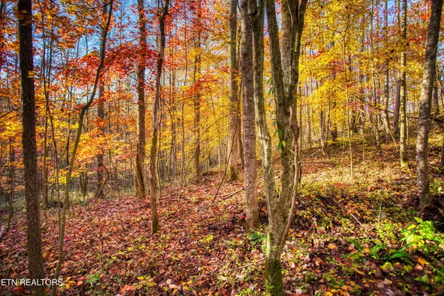 $180,000 | 1192 Shellotte Loop, Pall Mall, TN 38577