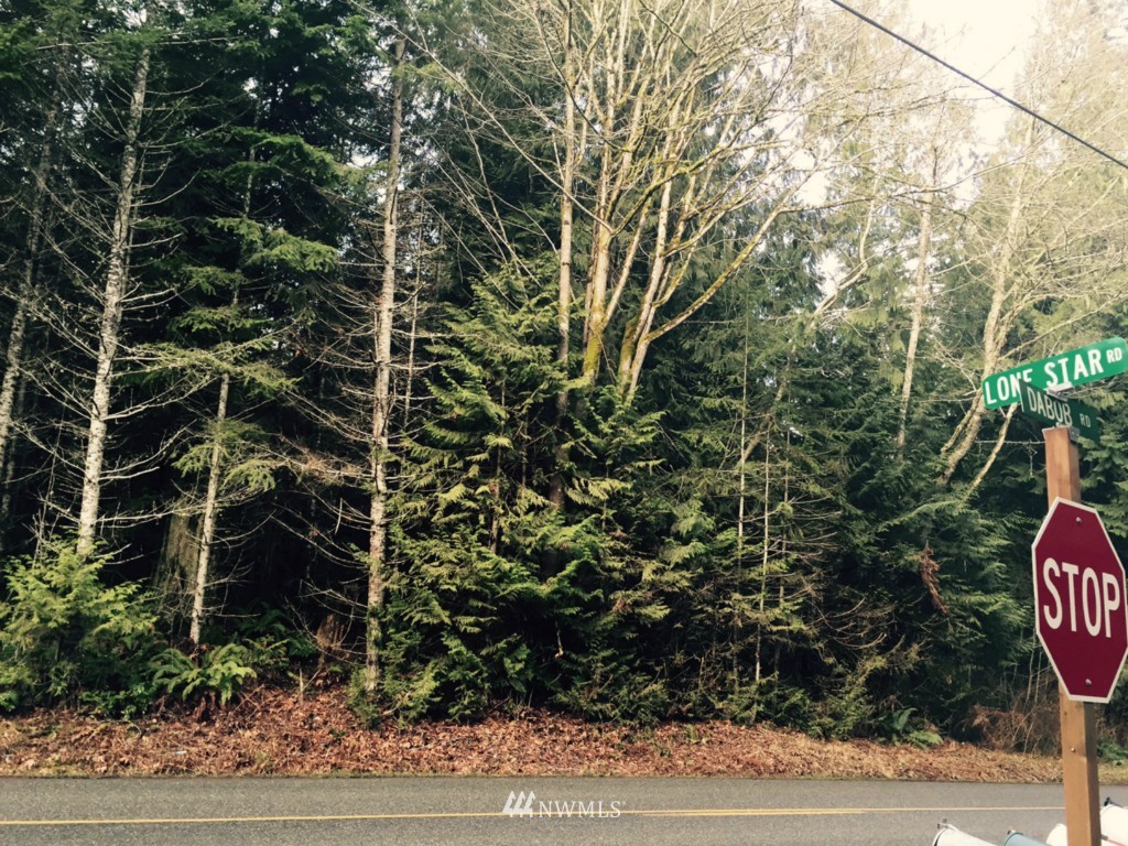 5185 Dabob Road Quilcene, WA 98376 - Photo 3 of 4