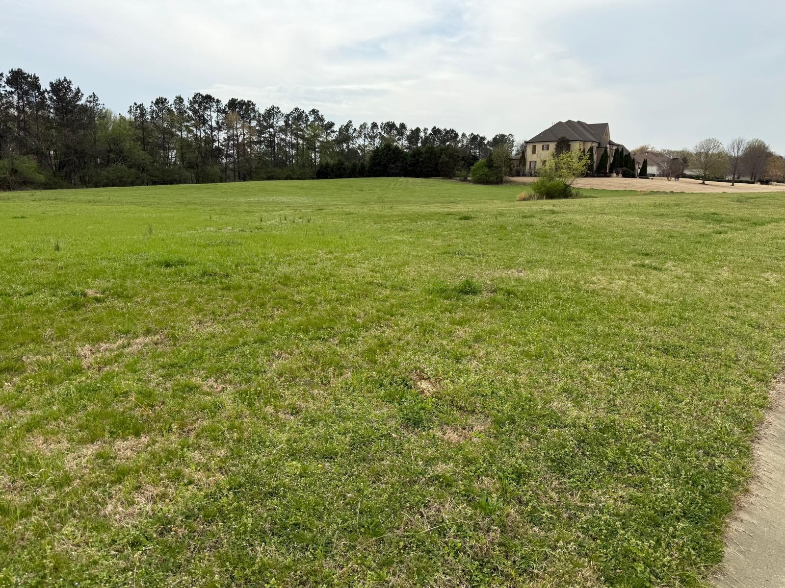9943 Legends Drive Collierville, TN 38139 - Photo 1 of 3 View of yard with a rural view