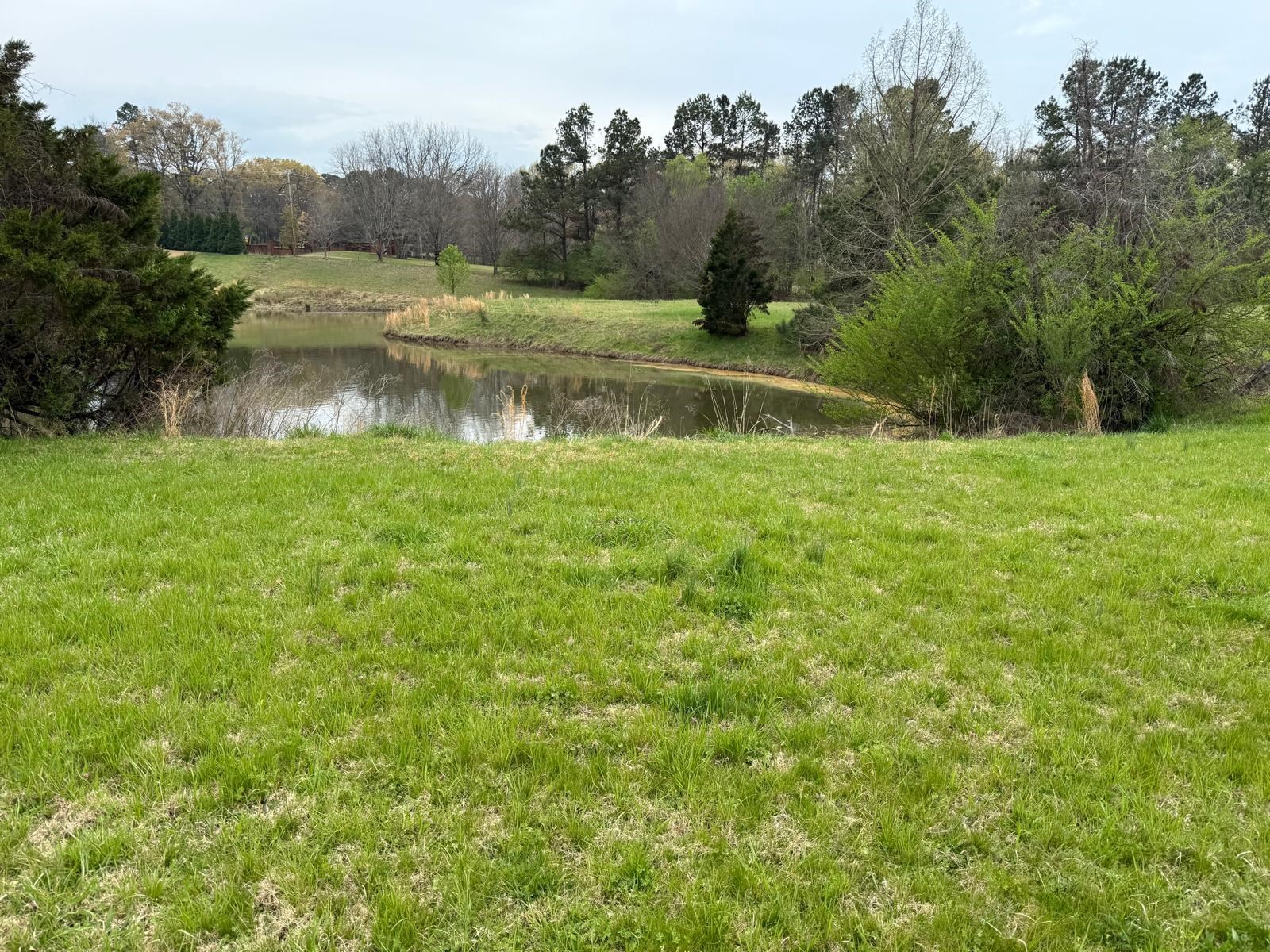 9943 Legends Drive Collierville, TN 38139 - Photo 3 of 3 Exterior space with a forest view