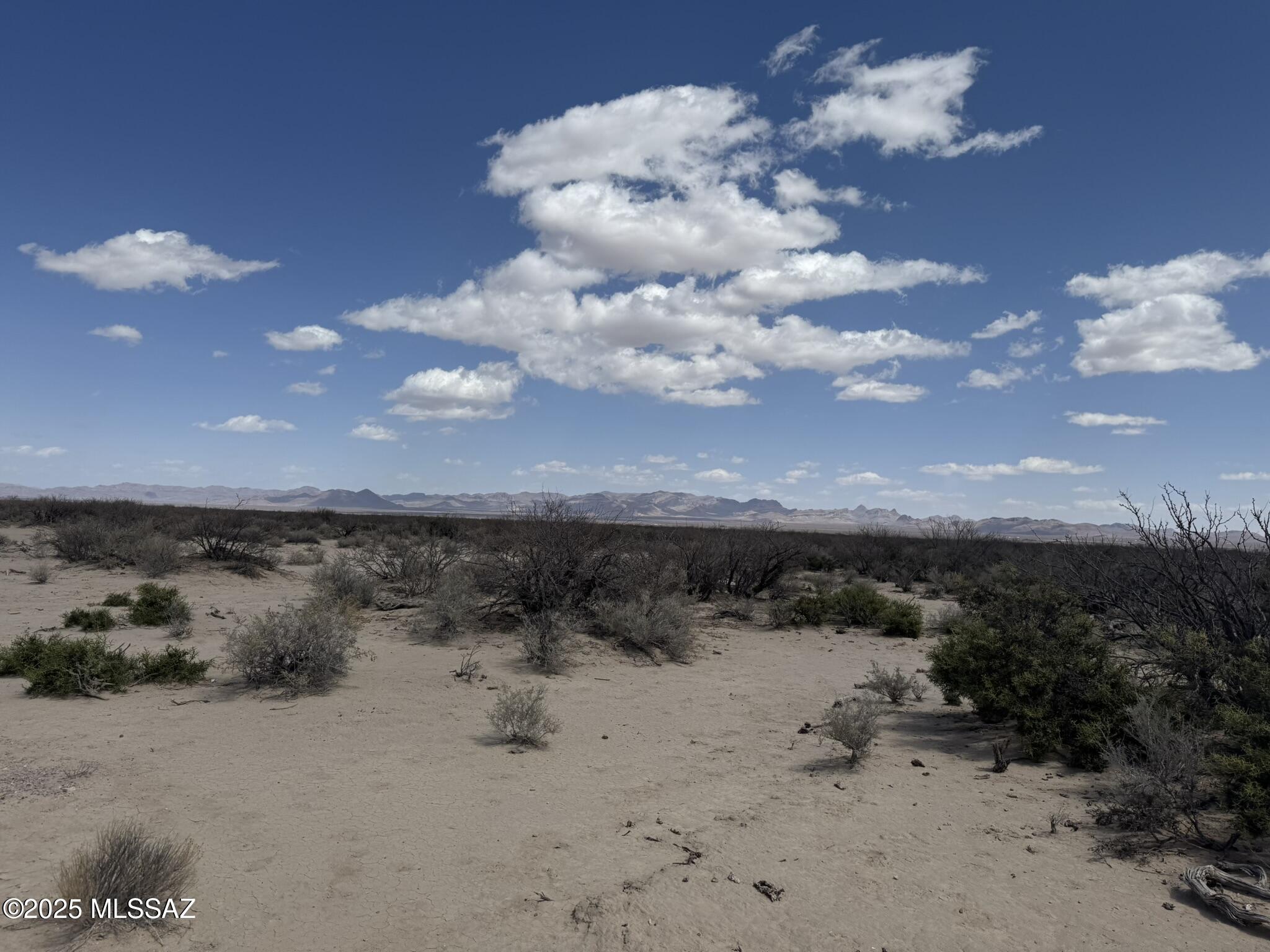 80-acres Parker Road San Simon, AZ 85632 - Photo 18 of 22