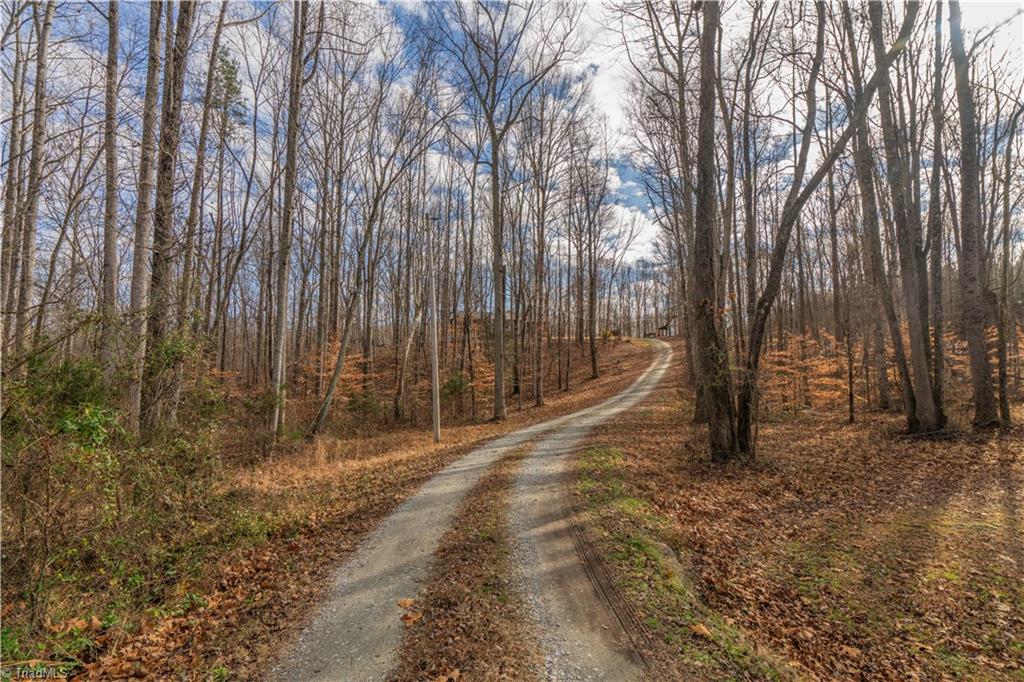 320 Ed Rickard Road Lexington, NC 27295 - Photo 5 of 30 Gallery Image 5