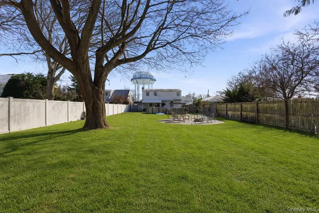 a view of a yard with a large tree