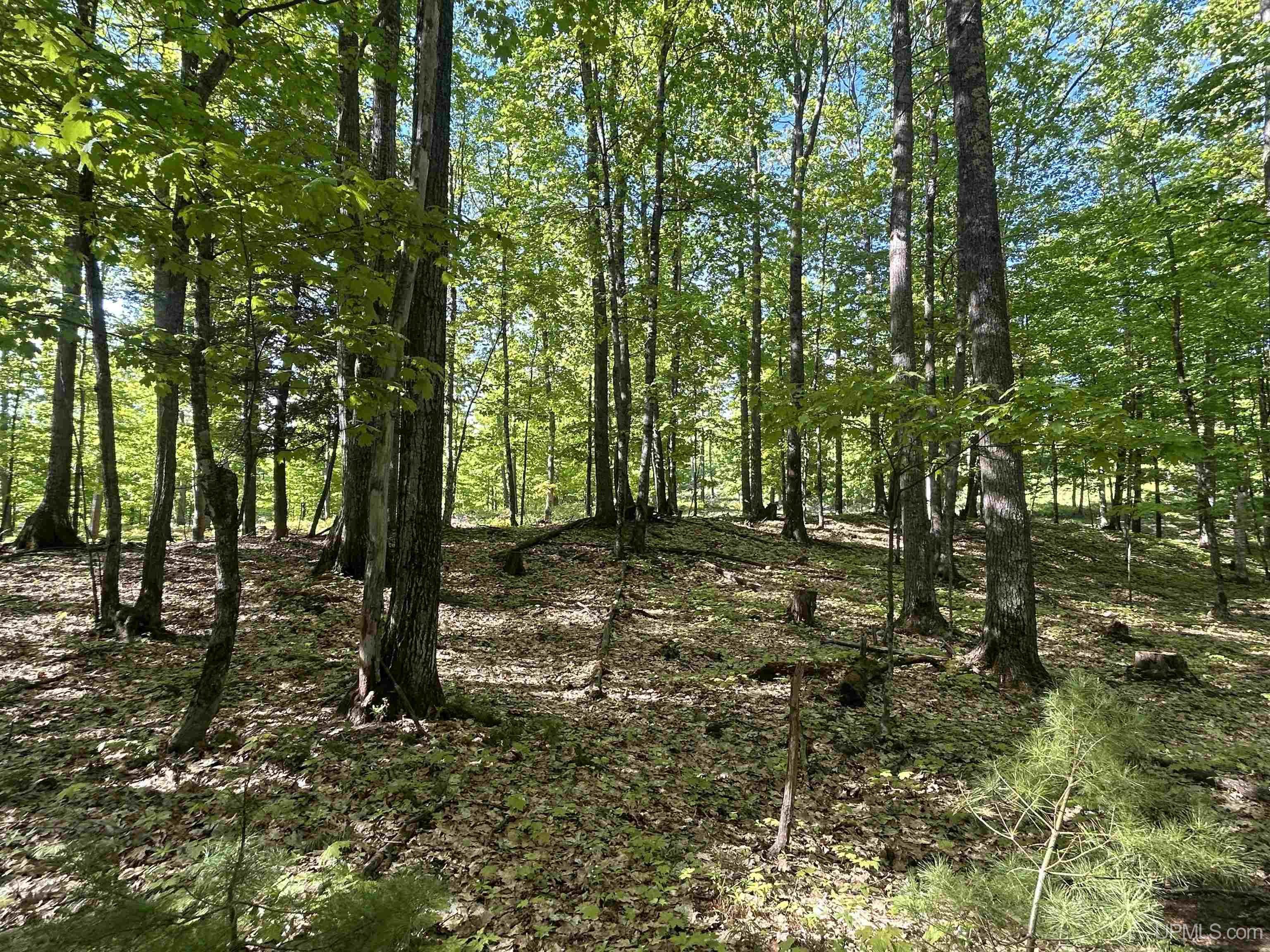 Tbd McClure Dm Road Negaunee, MI 49866 - Photo 5 of 16