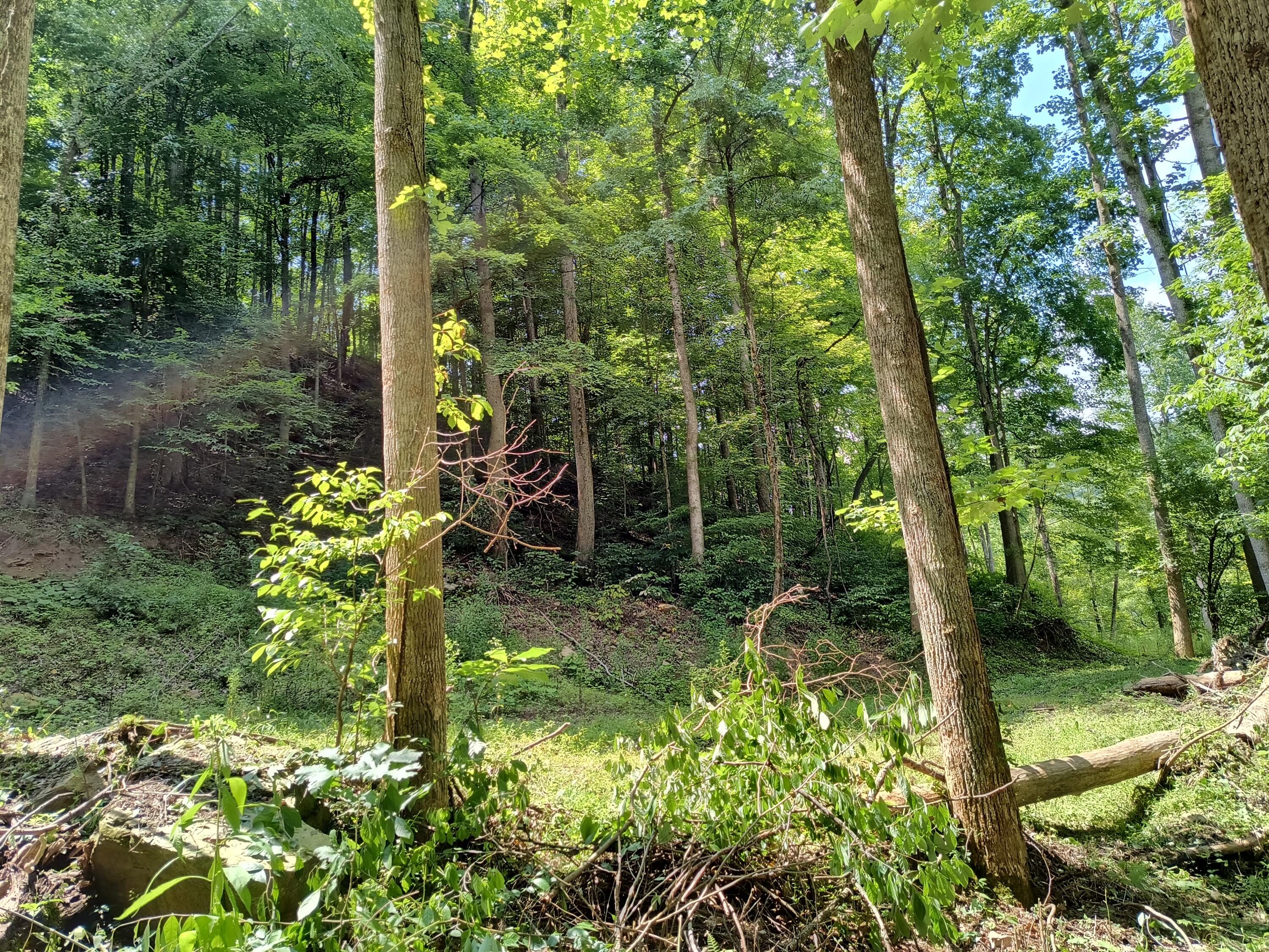 0 Birch Hollow Road, Unit 10 PHASE 2 Stanton, KY 40380 - Photo 1 of 10 IMG_20230811_141136196_HDR