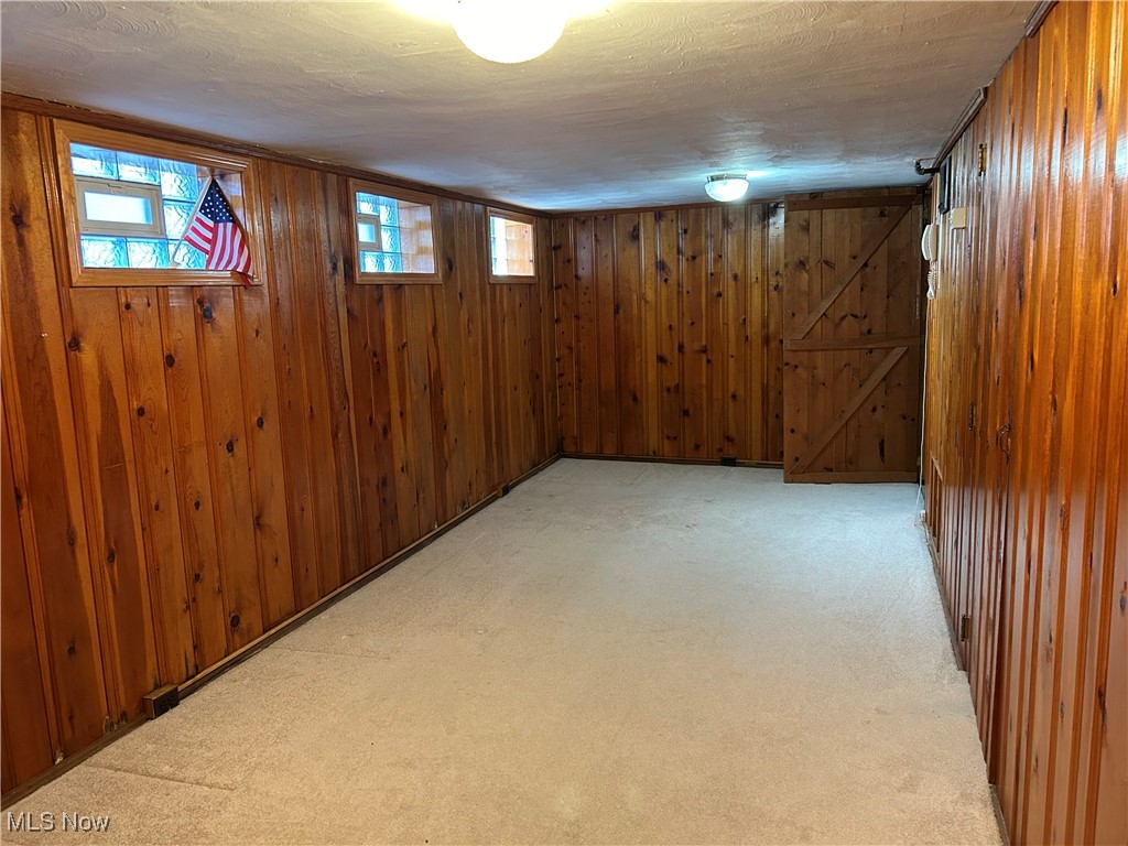 1094 Plainfield Road Cleveland, OH 44121 - Photo 34 of 41 Basement featuring light colored carpet, plenty of natural light, and wood walls