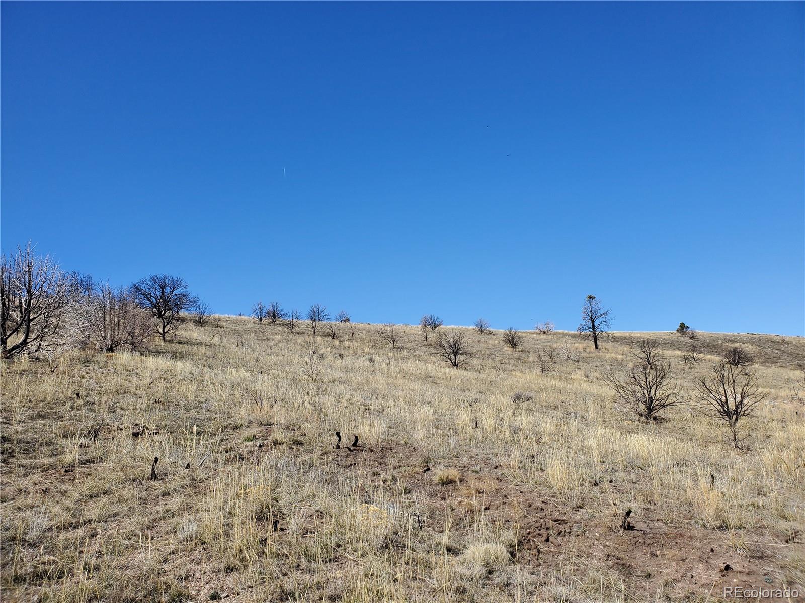 7688 Lewis Smith Road Fort Garland, CO 81133 - Photo 14 of 25 Gallery Image 14