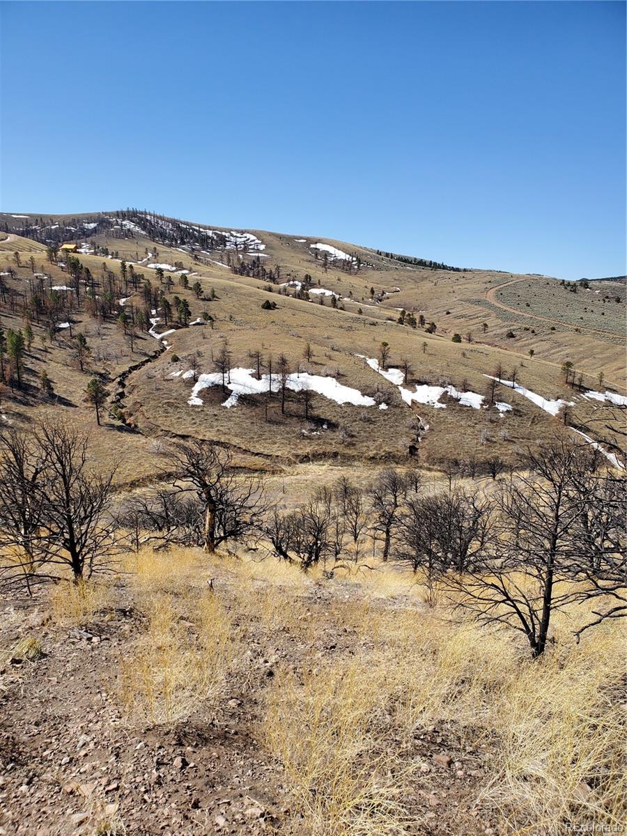 7688 Lewis Smith Road Fort Garland, CO 81133 - Photo 16 of 25 Gallery Image 16
