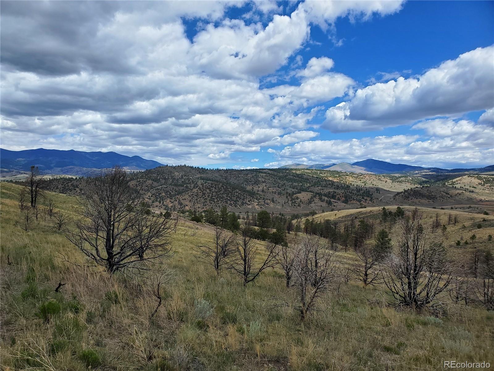 7688 Lewis Smith Road Fort Garland, CO 81133 - Photo 3 of 25 Gallery Image 3