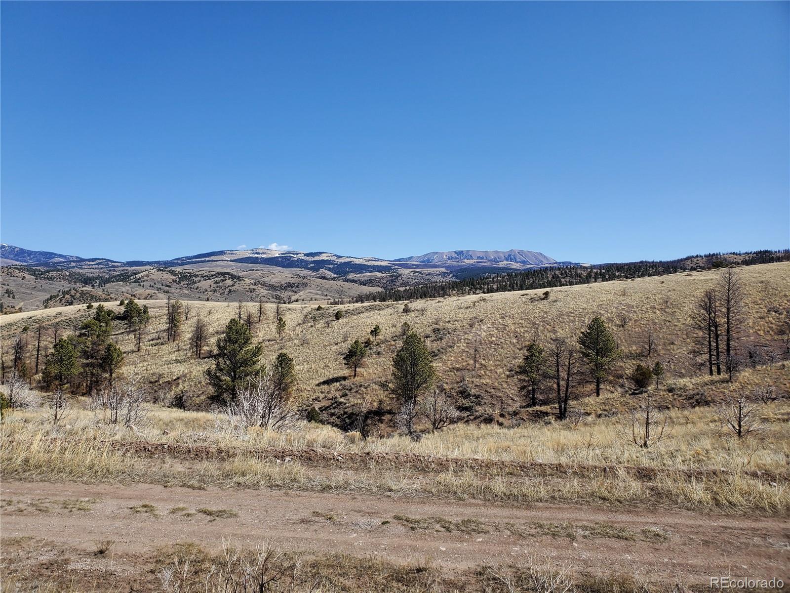 7688 Lewis Smith Road Fort Garland, CO 81133 - Photo 6 of 25 Gallery Image 6