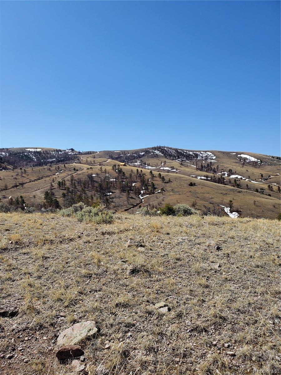 7688 Lewis Smith Road Fort Garland, CO 81133 - Photo 10 of 25 Gallery Image 10