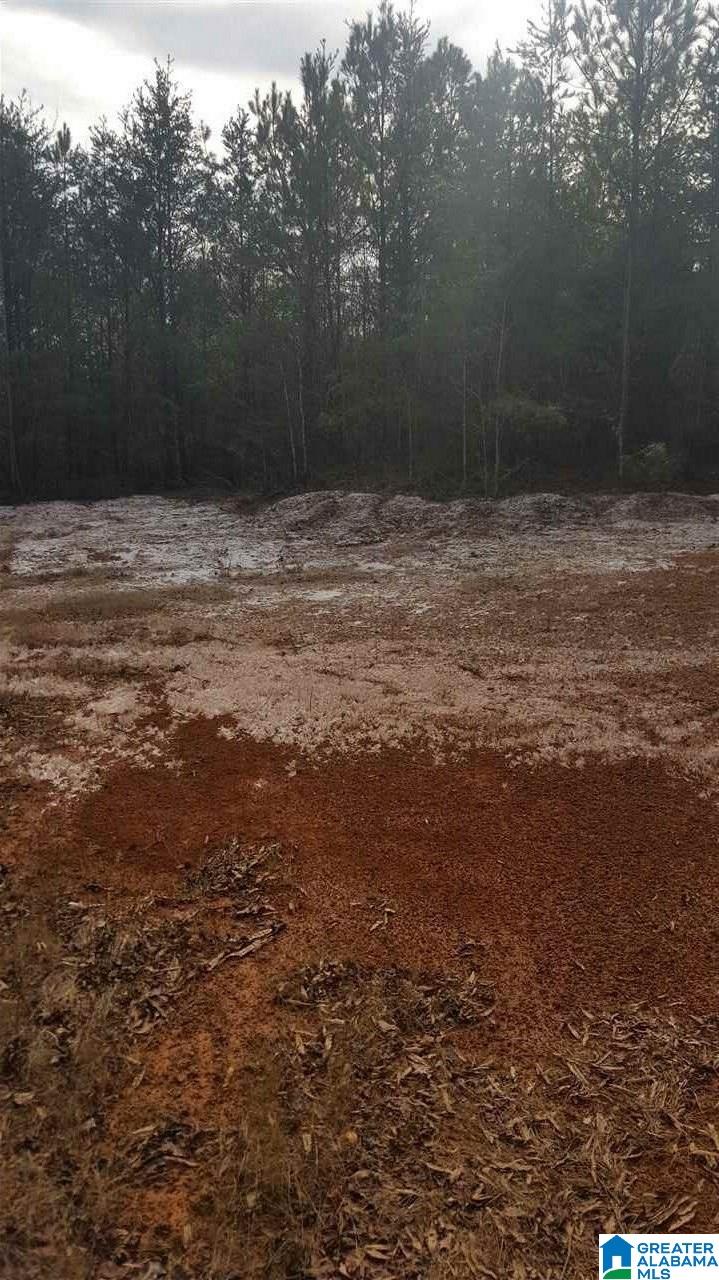 306 Ronbar Road Columbiana, AL 35051 - Photo 2 of 3