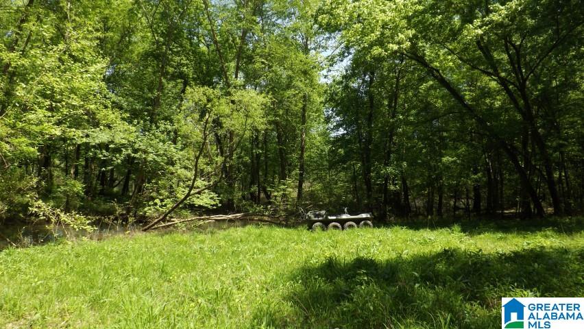 0 Pea Ridge Circle, Unit 424 Union Grove, AL 35175 - Photo 13 of 49