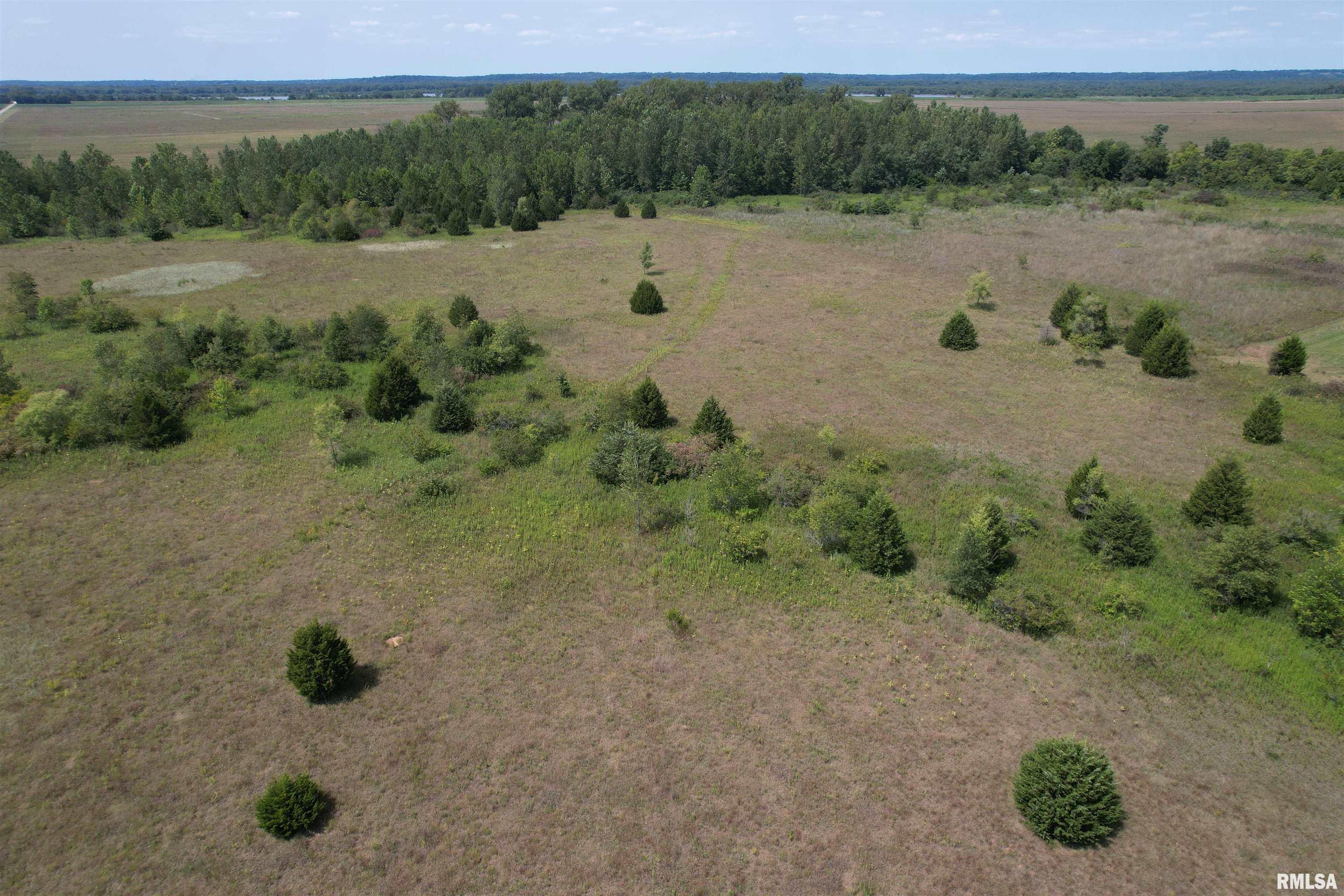 Earl Lovekamp Road Arenzville, IL 62611 - Photo 5 of 14